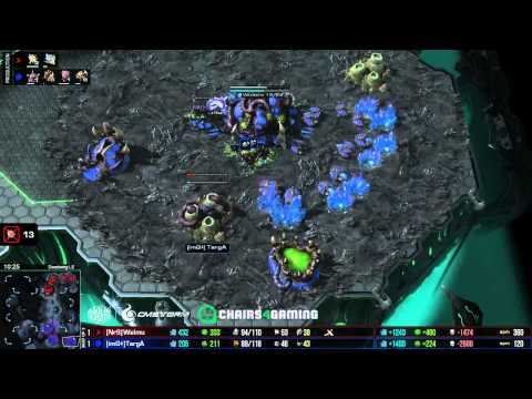 Targa vs Welmu G3 - WTB EU Ro8