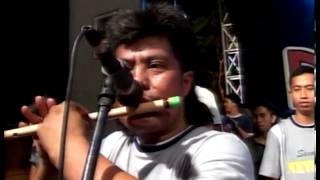 Download lagu OM. New PALLAPA - SIDOARJO *Tak Butuh Cinta - Putri Rahayu *(Surabaya, 191112 ) mp3