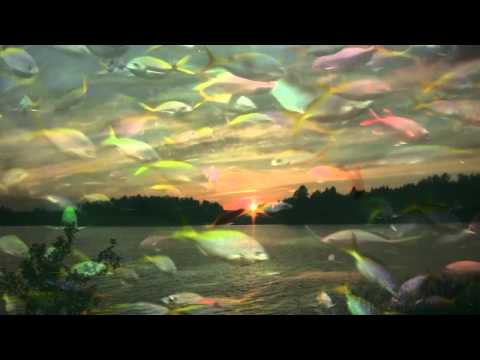 Галактика - Глядя на чёрную воду с моста