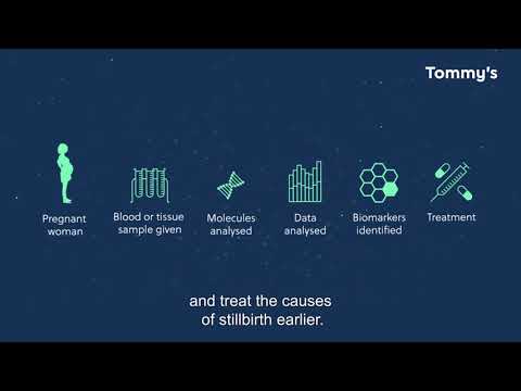 Stillbirth research - the pregnancy biobank