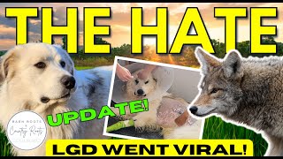 LGD THAT BROKE THE INTERNET - ADDRESSING THE HATE, INJURY, UPDATES, & WHY WE HAVE AN LGD | VLOG