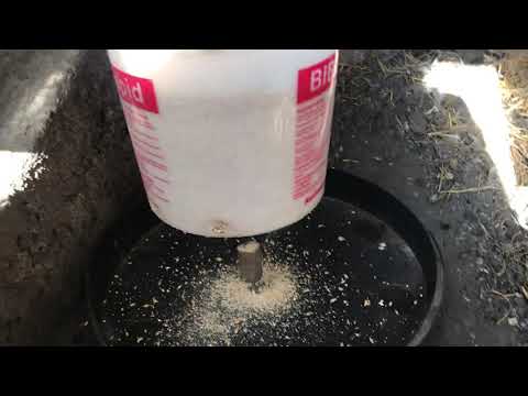 Hühner Futterautomat improvisiert