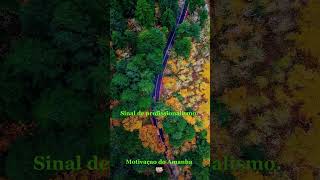 Caminhando com a Natureza: Descobertas na Trilha #frases #criacaodarealidade #motivação #amor #paz