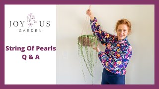 STRING OF PEARLS PLANT CARE: ANSWERING YOUR QUESTIONS/JoyUsGarden