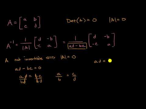 Invertible and noninvertibles matrices