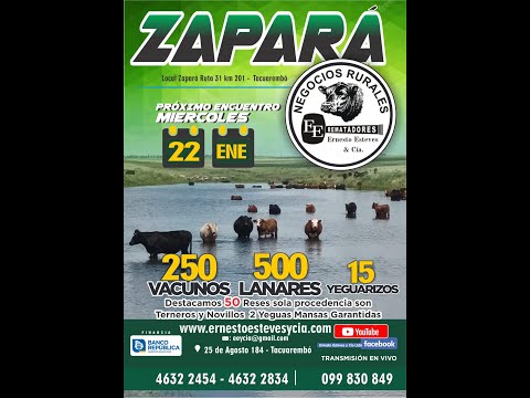 Remata Ernesto Esteves y Cia - Local Zapará Tacuarembó // 22 de Enero 2025