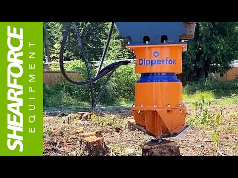Dipperfox Stump Grinder Removing Fir Stumps on Vancouver Island | FAST Easy Stump Removal in Canada