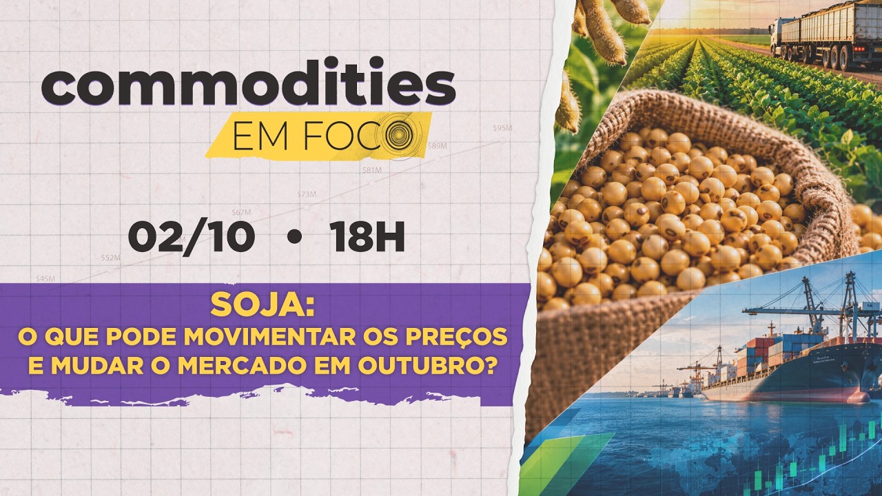 Soja: o que pode movimentar os preços e mudar o mercado em outubro? Confira no Commodities em Foco
