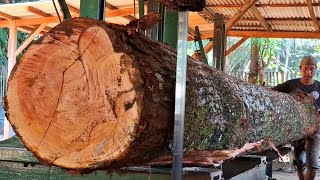 giant redwood logs worth hundreds of millions of US dollars that are causing trouble at the sawmill