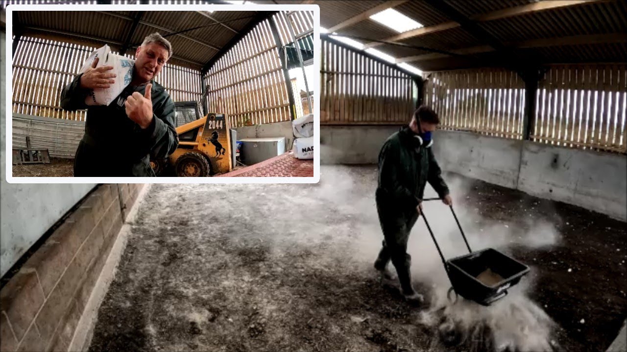 17/08/24  Liming the last barn floor.