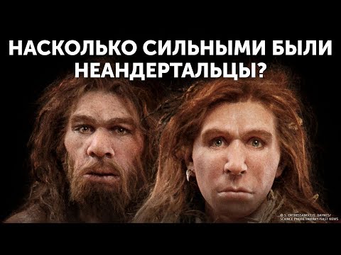 Кто победит: человек или неандерталец?