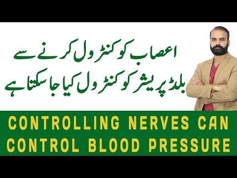 Controlling nerves can control Blood Pressure | Renal Denervation | (Urdu/Hindi)