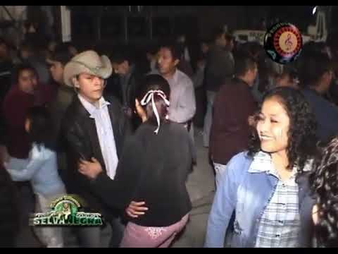 SELVA NEGRA EN VIVO 14 EXITOS DVD COMPLETO