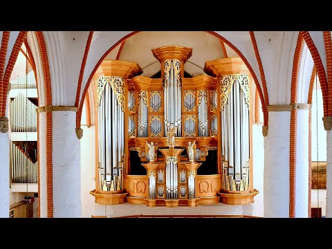Matthias Weckmann. The Organ Works | Matthias Weckmann. Die Werke für Orgel