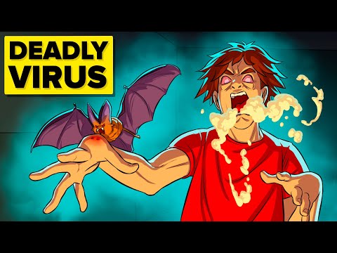 What Happens If You Get Rabies