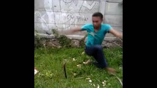 Download lagu Silat siliwa teluk naga mp3 Download lagu Silat siliwa teluk naga mp3
