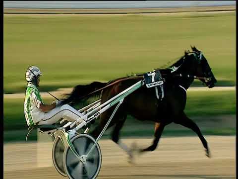 Trotto 23/06/2018 - 5ª corsa