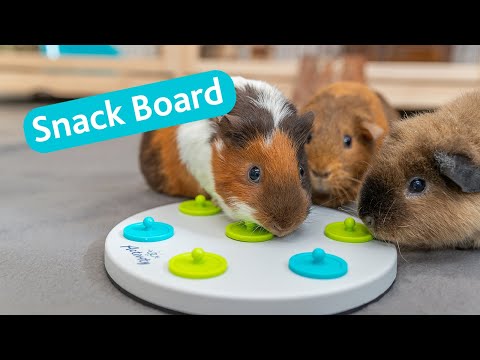 Trixie konijnen Strategisch SpelSnack Board