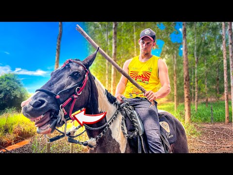 I RIDED ABEIA'S POTRA WITHOUT PERMISSION