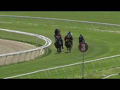 Heat 13   Doomben Jumpouts 3012