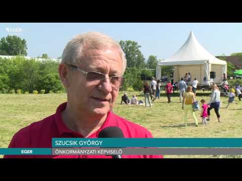 Lajosvárosi majális - 2016.05.23.