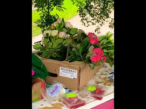 Passed these out to strangers today!