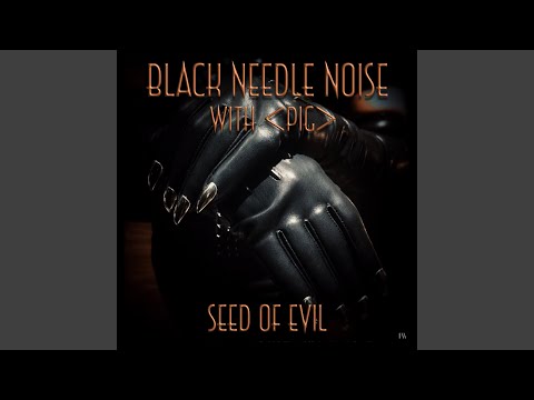 Seed of Evil (feat. ᐸPIGᐳ)