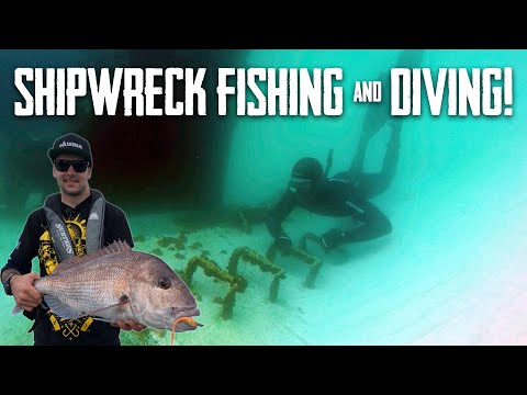 Big TREVALLY & SNAPPER in the Harbour - Season 6 EP4 Far North NZ (Part 1)