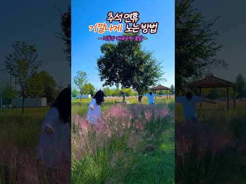 &#39;꽃&#39; 같은 추석 연휴 보내시고 &#39;꽃&#39; 보러 가요~~