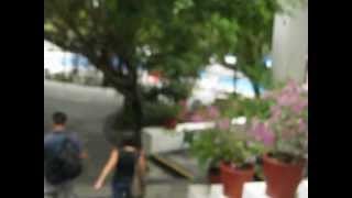 Oasis Palm Cancun by Inertia Tours