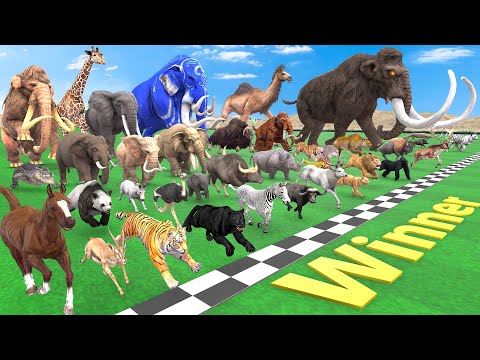 Ultimate Race 40 Wild Animals Speed Challenge Who is the Fastest Animal Revolt Battle Simulator