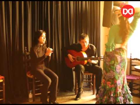 Volunteer abroad with Diverbo- Flamenco Casa Patas