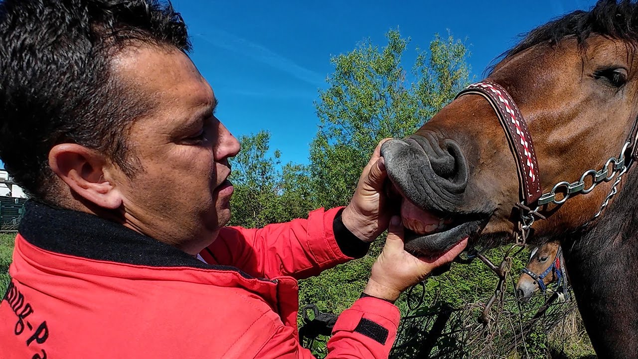 Dernek u Turbetu okupio više tisuća ljudi iz cijeloga regiona