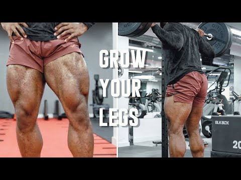The BEST Top 5 tips to BUILD BIG LEGS | For Beginners & Advanced