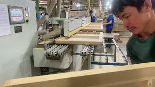 Máy chà nhám cạnh Profile tự động Woodmaster bàn giao tại Bình Dương