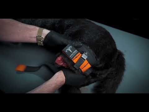 TacMed K9 Tourniquet
