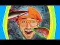 BLIPPI Visits The Aquarium Fun Animal Learning Video For Kids Preschool ABC 123
