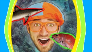Download lagu BLIPPI Visits the Aquarium! Fun Animal Learning Video for Kids! Preschool ABC 123 mp3