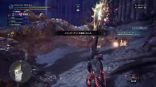 モンスターハンターワールド：アイスボーン」やっていきます