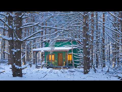 -17°C Off Grid Cabin Life: Can It Stay Warm? Relaxing asmr