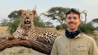 We Camped in Leopard Territory - Botswana MQDEFAULT Thumbnail