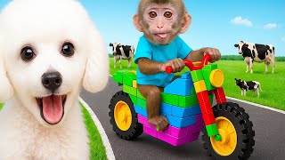 Incy Wincy Spider | Baby Monkey Nursery Rhymes & Kids Songs