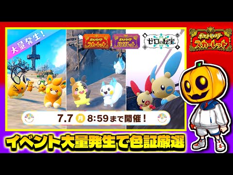 【ポケモンSV】降雪の証持ち限定マイナン狙い!! 色違い率アップの大量発生イベントで雑談しながら色違い厳選配信!!【ポケモン】【色違い厳選】【色違いポケモン】