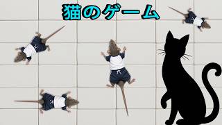 かわいいペットネズミ｜小さな服で猫のゲーム Cute Pet Rats in Tiny Outfits | Fun Cat Game