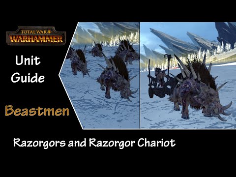 Total War: Warhammer Unit Guide - Beastmen - Razorgor Herd and Chariot