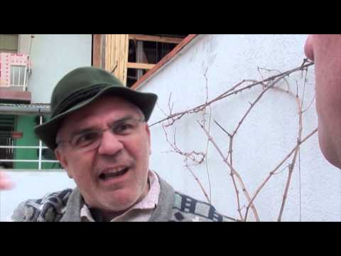 Raba, Petrea si incalzirea globala