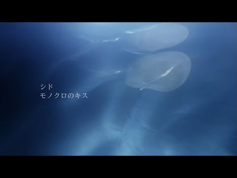 Video thumbnail for モノクロのキス (Monochrome no Kiss)