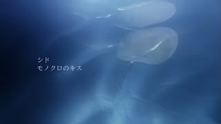 Download lagu SID 『Monokuro No Kiss』Music Video mp3