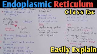 Endoplasmic Reticulum Structure And Functions | Class 11 Biology