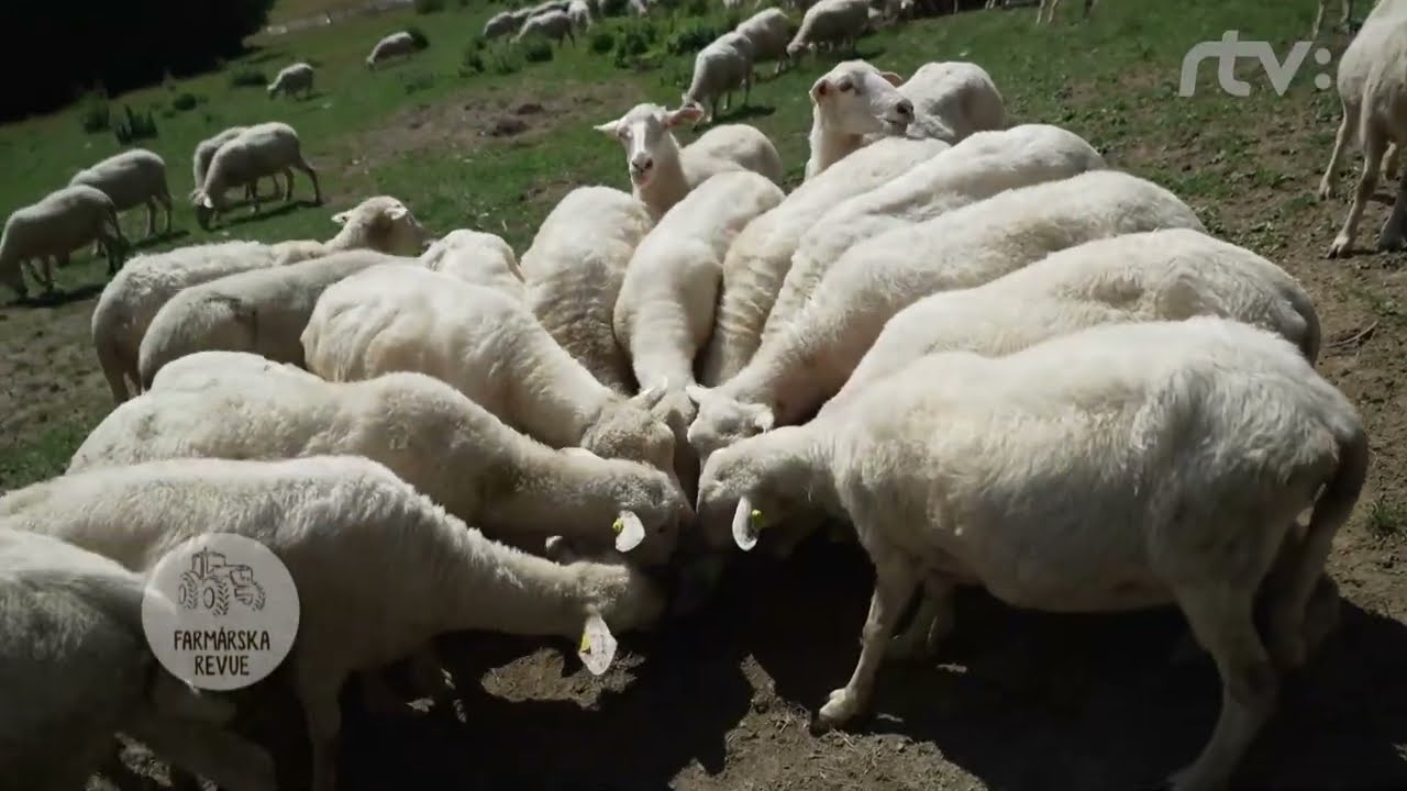 Video recept Krupicový šmorn Na chalupe EPI 10 Jar 2026
